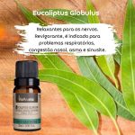 10994369933_kit-oleos-essenciais-eucaliptus-globulus-menta-piperita-tea-tree-respiracao-via-aroma-amor-verde-3.jpg