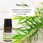 11018875342_kit-oleos-essenciais-eucaliptus-globulus-menta-piperita-tea-tree-respiracao-via-aroma-amor-verde-3.jpg